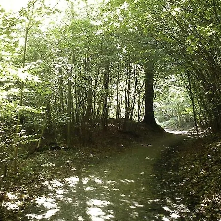 Totalrenoveret I Risskov